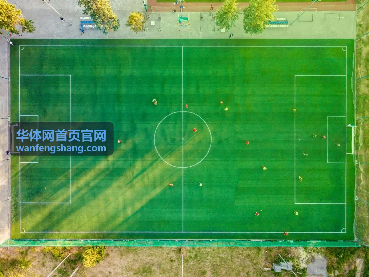 华体网首页官网赛事运营负责人陈以恒